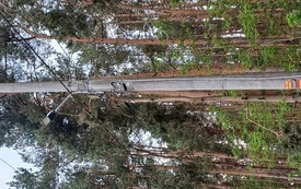 Kaliska2