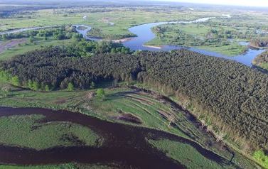 DJI_0135.MOV_000155979