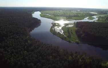 DJI_0135.MOV_000041237