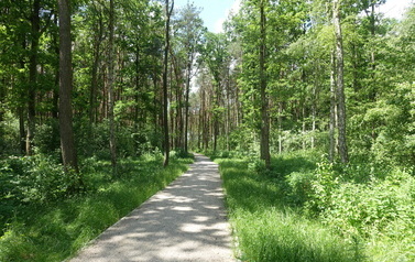 Park Dębinka w Łochowie