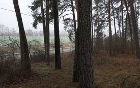 grudzien_2025 (8)