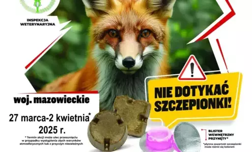 Plakat dotyczący zrzucania szczepionek dla lisów. 