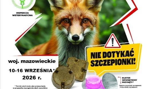 W dniach 10- 16 września 2026 na terenie województwa mazowieckiego będzie prowadzona jesienna akcja szczepień lisów wolno żyjących przeciwko wściekliźnie.