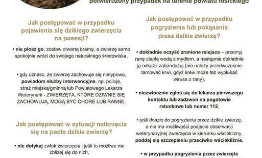 Zdjęcie do Wścieklizna u zwierząt wolnożyjących